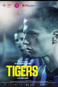 Тигры (2020)