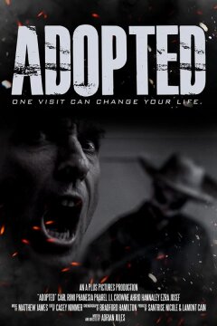 Приёмная (2020)