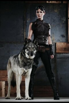 Риз: Падение королевства (2009)