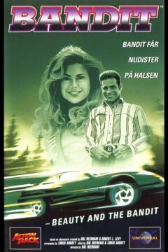 Красавица и бандит (1994)