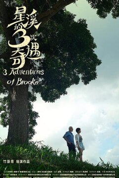Три приключения Брук (2018)