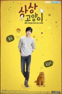 Воображаемая кошка (2015)