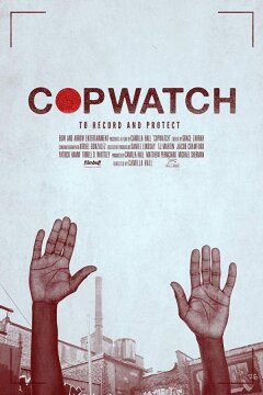 Копнадзор (2017)