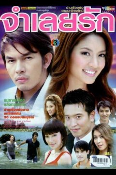 В плену любви (2008)