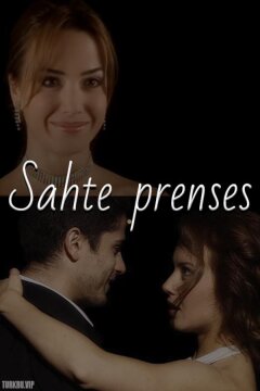 Госпожа горничная (2006)