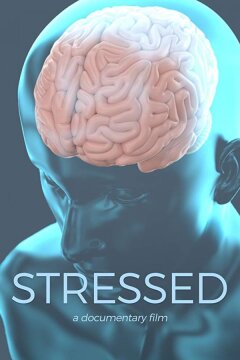 В состоянии стресса (2019)