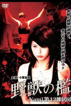 Бандитки в цепях (2007)