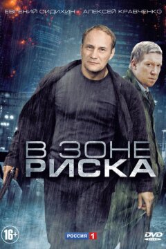 В зоне риска (2012)