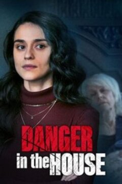 Опасность в доме (2022)