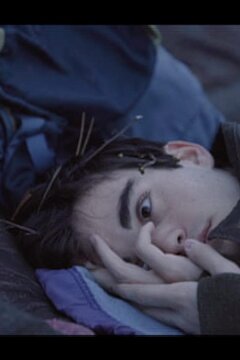 Музей спит (2020)