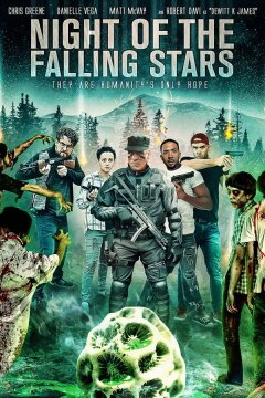 Ночь падающих звёзд (2021)