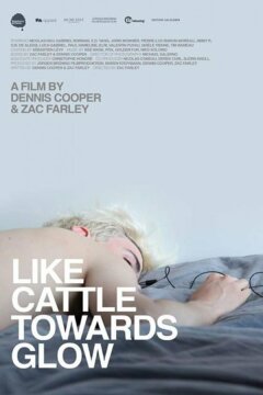 Навстречу сиянию (2015)