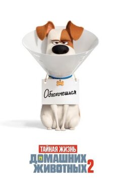 Тайная жизнь домашних животных 2 (2019)
