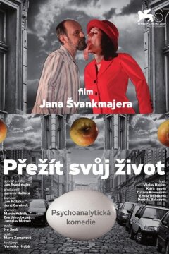 Пережить свою жизнь (2010)