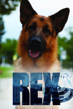 Хадсон и Рекс (2019)