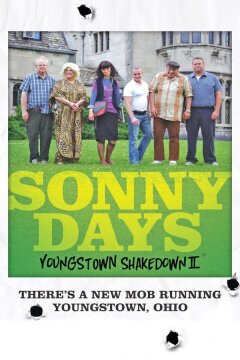 Дни Сонни: Падение Янгстауна 2 (2012)