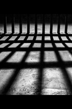 Четыре брата (2022)