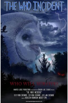 Неопознанный инцидент (2023)