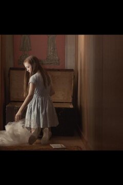 Невеста в сундуке (2022)