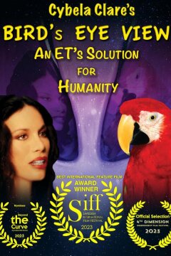 С высоты птичьего полёта: инопланетное решение для человечества (2020)