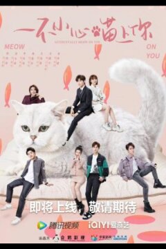 Случайный мяу (2024)