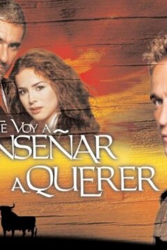 Я научу тебя любить (2004)