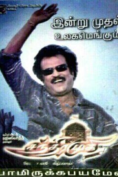 Таинственная гостья (2005)