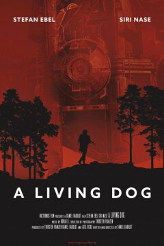 Новый мировой порядок (2019)