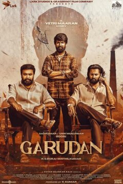 Брахманский коршун (2024)