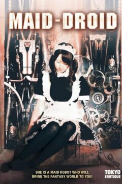 Робо-горничная (2008)