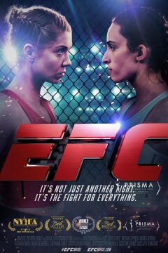 Бой на вылет (2024)