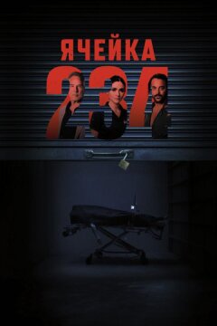 Ячейка 234 (2024)