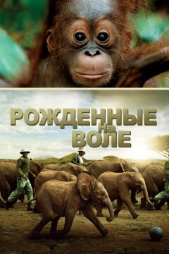 Рожденные на воле (2011)