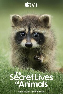 Тайная жизнь животных (2024)