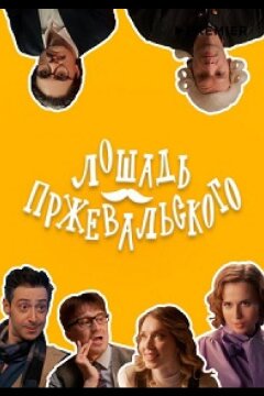 Лошадь Пржевальского (2025)