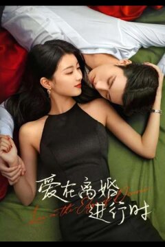 Любовь на грани развода (2025)