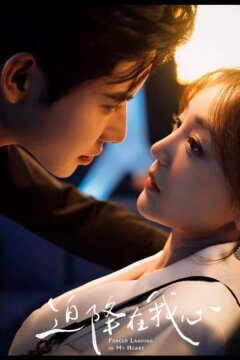 Оседлавшая ветер / Вынужденная посадка в моем сердце (2025)