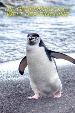 Секреты пингвинов (2025)