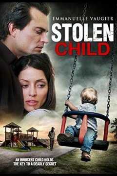 Похищенный ребёнок (2012)