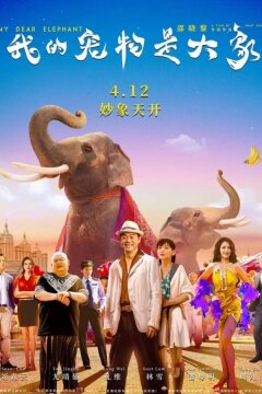 Дорогие мои слоны (2019)