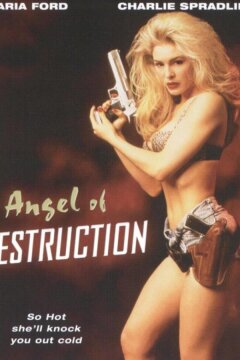 Ангел разрушения (1994)
