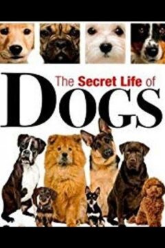 Тайная жизнь собак (2017)