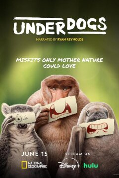 Аутсайдеры (2025)