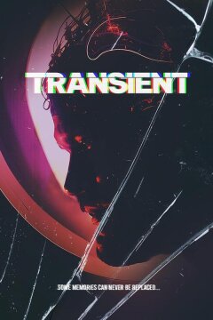 Переходный процесс (2024)