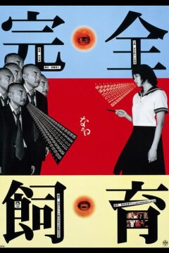 Идеальное образование (1999)