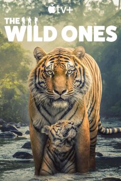 В мире дикой природы (2025)