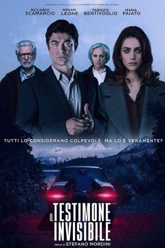 Невидимый свидетель (2018)