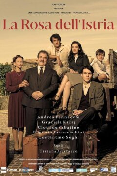 Роза Истрии (2024)