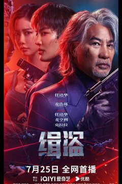 Поймать воров (2025)