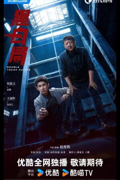 Развилка к правде / Игра в черное и белое / Чёрно-белое бюро (2025)